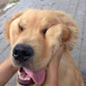 Meet your Posher, Lana